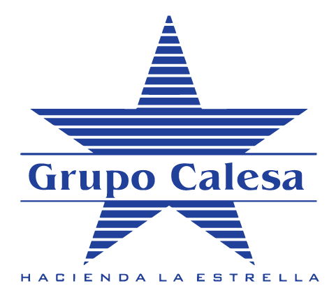 Logo de Grupo Calesa